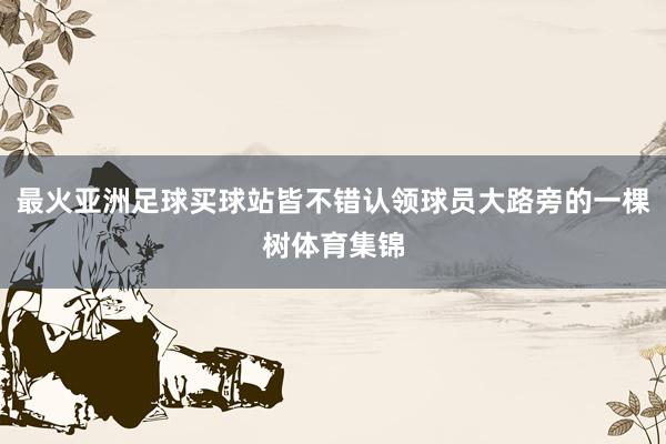 最火亚洲足球买球站皆不错认领球员大路旁的一棵树体育集锦