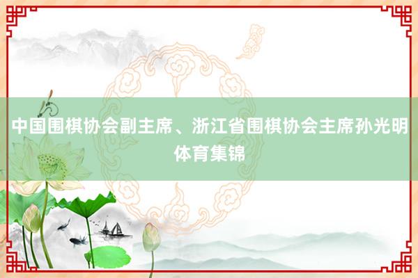 中国围棋协会副主席、浙江省围棋协会主席孙光明体育集锦