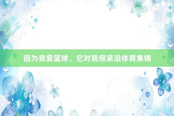 因为我爱篮球、它对我很紧迫体育集锦